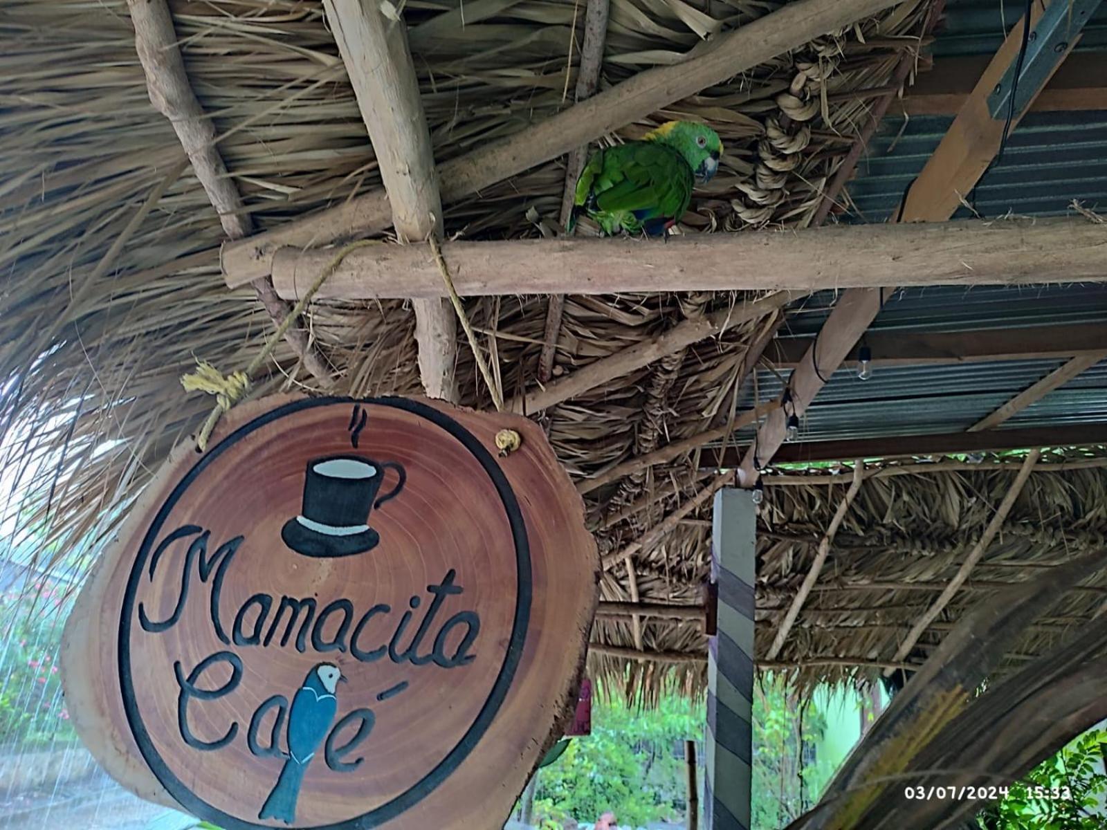 Mamacita Cafe House Hotel Мойогалпа Екстериор снимка
