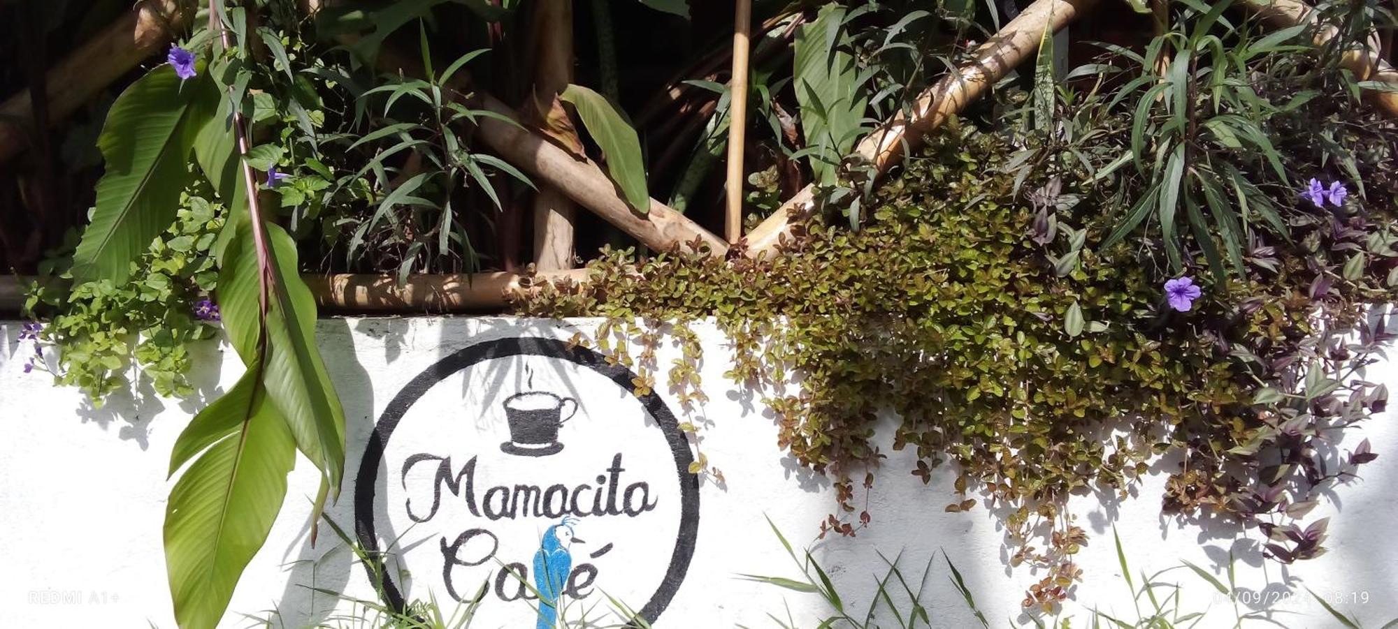 Mamacita Cafe House Hotel Мойогалпа Екстериор снимка